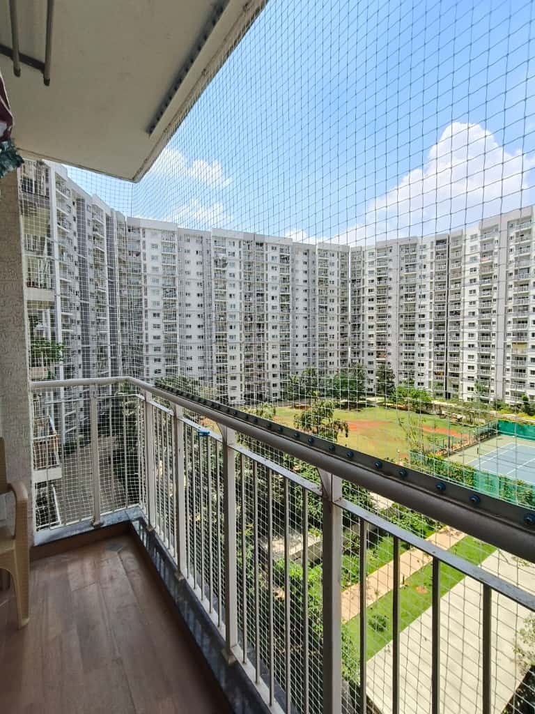 Pet Safety Nets in Bangalore