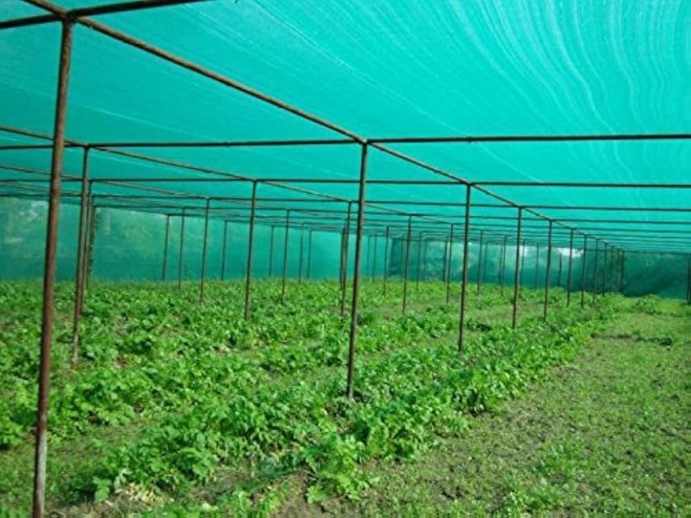Shade Nets Installation in Bangalore